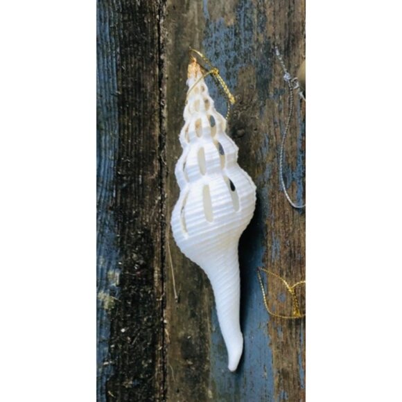 Lot of 5 Handmade Glittered Seashell Christmas Ornaments Angel Murex Clam Coasta - Picture 9 of 11